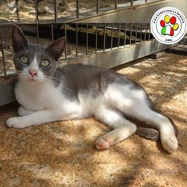 REBE sei una meraviglia