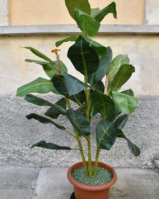 Pianta finta