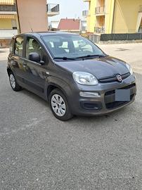FIAT PANDA 1.2 GPL DI SERIE - 2017