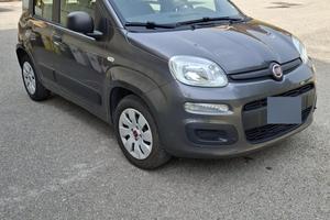 FIAT PANDA 1.2 GPL DI SERIE - 2017