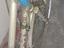 Immagine 3
