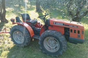 Trattore carraro tigre , trinciaerba e pompa acqua