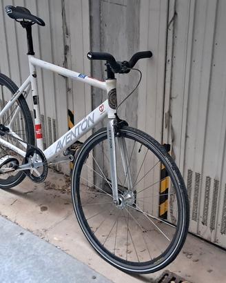 Single Speed Aventon tg 58