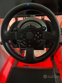 Thrustmaster T300 mod f1