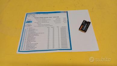 SSD M.2 2240 Teclast 256 Gbyte, usato, testato,