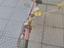Immagine 3