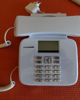 telefono fisso