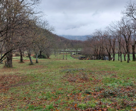 Terreno agricolo Montella (AV)