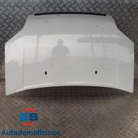 COFANO ANTERIORE FORD TRANSIT TOURNEO CONNECT (03-