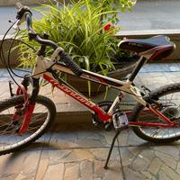 Bicicletta ESCAPE Montana