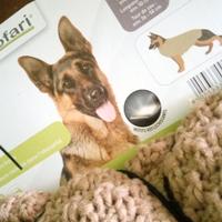 PULLOWER DOG   CALDA MAGLIA