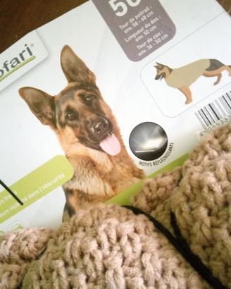 PULLOWER DOG   CALDA MAGLIA