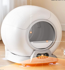 Lettiera autopulente gatti