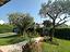Immagine 10