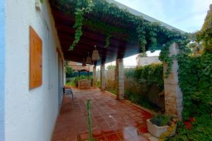 Villino a due passi dal mare - Rif. 334