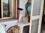 Immagine 24