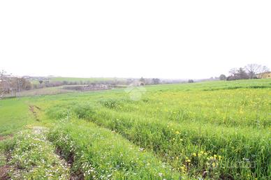 TER. AGRICOLO A POMEZIA