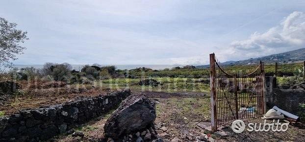 Terreno pianeggiante 6.500 mq con fabbricati - Vista 3