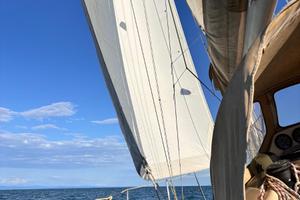 Barca a Vela Dehler 34