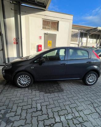 Fiat Punto Evo