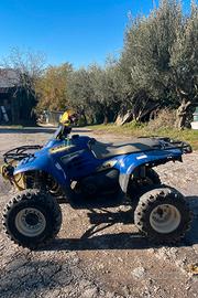 Quad polaris trailboss 330