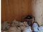 Immagine 10