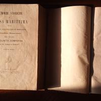 libri del 1873, Memorie di Massa Marittima 