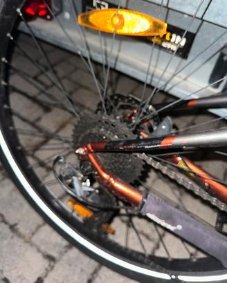 Wheelebike bergamont