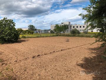Terreno edificabile