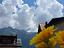Immagine 14