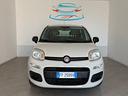 fiat-panda-1-2-pandazzurri