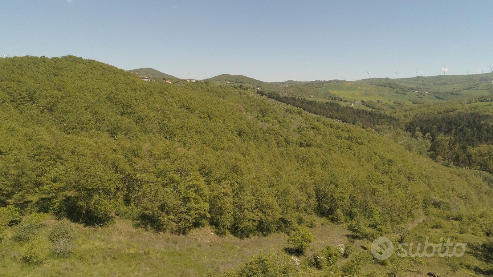 Abitazione, garage, deposito e terreni - Vista 3