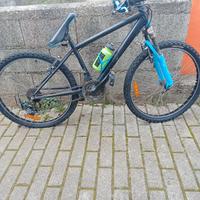 Bicicletta ragazzo