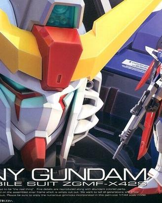 Gundam RG 1/144 Destiny Freedom BANDAI