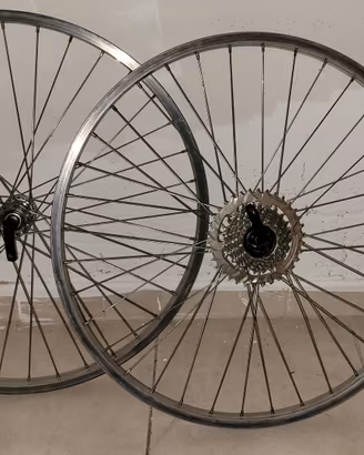 du cerchi da 26 mtb