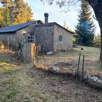 Baita panoramica,Monte Penice (h1200m) + terreno