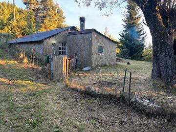 Baita panoramica,Monte Penice (h1200m) + terreno
