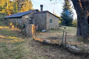Baita panoramica,Monte Penice (h1200m) + terreno