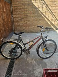 Bicicletta