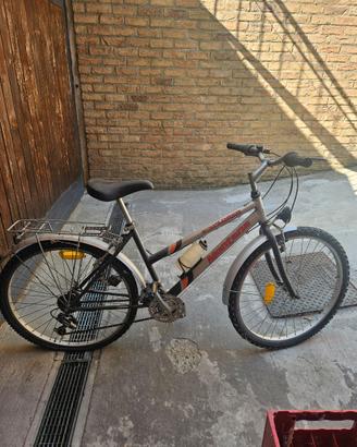 Bicicletta