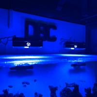 2 plafoniere a8SE 4 mesi di vita