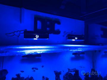 2 plafoniere a8SE 4 mesi di vita