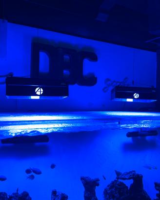 2 plafoniere a8SE 4 mesi di vita