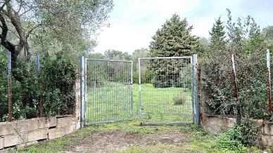 Terreno agricolo pianeggiante a Contras