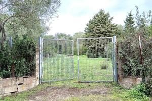 Terreno agricolo pianeggiante a Contras