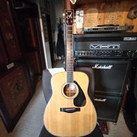 CHITARRA Yamaha FG 461 S