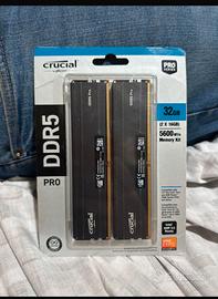 Ram   ddr5 crucial