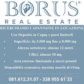 Ricerchiamo capannone uso deposito