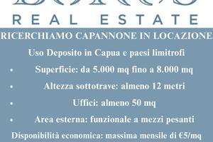Ricerchiamo capannone uso deposito