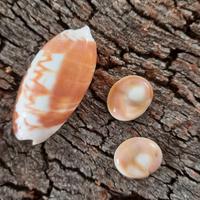 OCCHI DI SANTA LUCIA